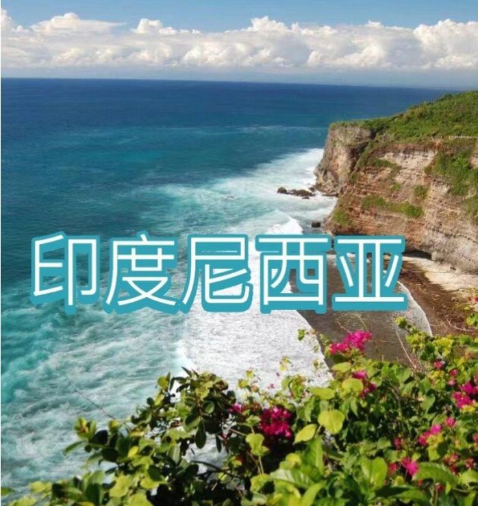 国际电商(印尼)产业博览会AG真人平台2025中国(图2) 国际电商(印尼)产业博览会AG真人平台2025中国(图2)