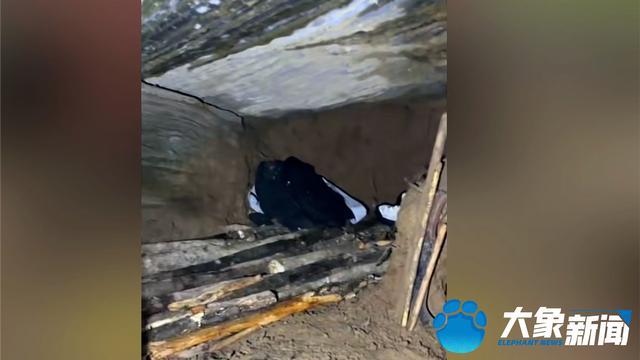 !荒野求生新一季报名人数已超10万有东北大姐坐50多小时车前来ag真人平台第一游戏冲50万奖金去的有人称这是“逆天改命”机会(图7) !荒野求生新一季报名人数已超10万有东北大姐坐50多小时车前来ag真人平台第一游戏冲50万奖金去的有人称这是“逆天改命”机会(图7)